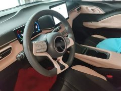 BYD Seagull Glory Edition 305km Vitality Version - photo 10