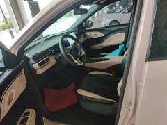 BYD Seagull Glory Edition 305km Vitality Version - photo 14