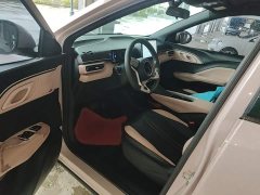 BYD Seagull Glory Edition 305km Vitality Version - photo 15
