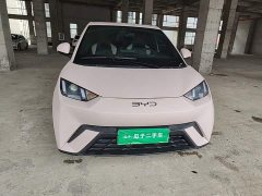 BYD Seagull Glory Edition 305km Vitality Version - photo 2