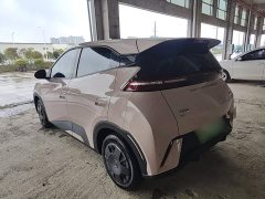 BYD Seagull Glory Edition 305km Vitality Version - photo 4