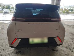 BYD Seagull Glory Edition 305km Vitality Version - photo 5
