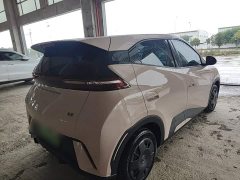 BYD Seagull Glory Edition 305km Vitality Version - photo 6