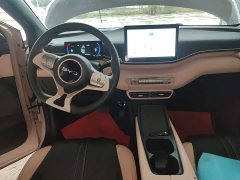 BYD Seagull Glory Edition 305km Vitality Version - photo 9