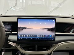 Denza D9 DM-i 970 AWD Flagship - photo 12