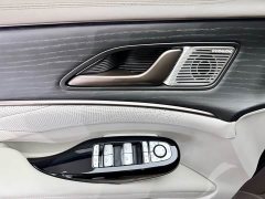Denza D9 DM-i 970 AWD Flagship - photo 20