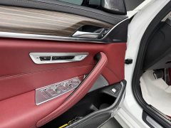 BMW 5 Series 530Li Executive M Sport Package - ფოტო 12