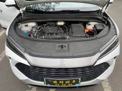 BYD Song L DM-i 112km Transcendence - ფოტო 10