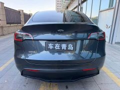 Tesla Model Y Rear-Wheel Drive - ფოტო 11