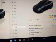 Tesla Model Y Rear-Wheel Drive - ფოტო 14
