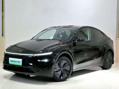 Tesla Model Y Rear-Wheel Drive - ფოტო 1