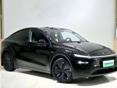 Tesla Model Y Rear-Wheel Drive - ფოტო 3