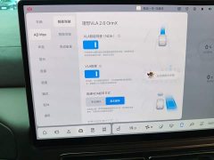 Li Auto Li Xiang MEGA Ultra - ფოტო 14