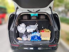Li Auto Li Xiang MEGA Ultra - ფოტო 20