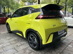 BYD Seagull Freedom Edition - photo 12