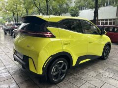 BYD Seagull Freedom Edition - photo 14