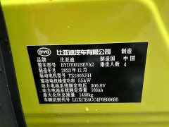 BYD Seagull Freedom Edition - photo 7