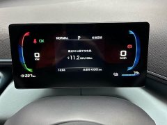BYD Seagull Freedom Edition - photo 8