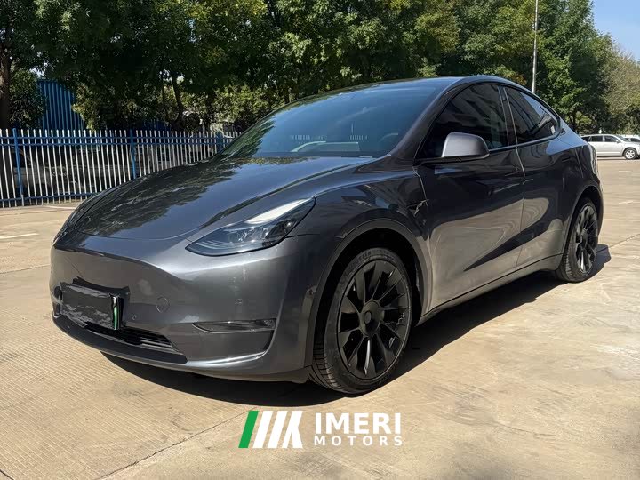 Tesla Model Y Long Range All-Wheel Drive - car from China