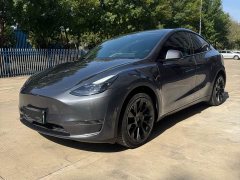Tesla Model Y Long Range All-Wheel Drive - photo 1