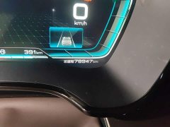 BYD Han DM AWD Performance Luxury - ფოტო 13