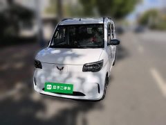 Wuling Zhiguang New Energy 305km Aspiring Edition - ფოტო 1