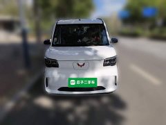 Wuling Zhiguang New Energy 305km Aspiring Edition - ფოტო 2