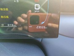 BYD Qin PLUS DM-i Smart Drive Edition 55KM Leading - photo 8