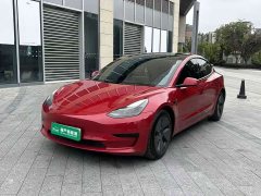 Tesla Model 3 Standard Range RWD Upgrade - фото 1