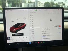 Tesla Model 3 Standard Range RWD Upgrade - фото 5
