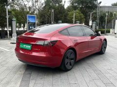 Tesla Model 3 Standard Range RWD Upgrade - фото 9