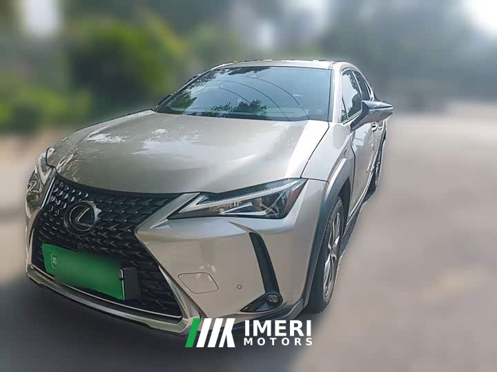 Lexus UX New Energy 300e Pure Joy Edition