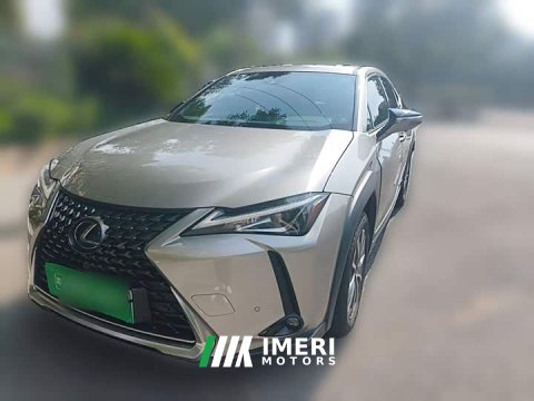 2021 Lexus UX New Energy 300e Pure Joy Edition - car from China