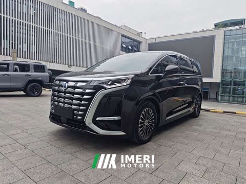 2024 Denza D9 DM-i 980 Four-Wheel Drive Flagship - car from China