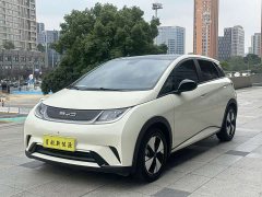 BYD Dolphin 420km Fashion Edition - photo 1