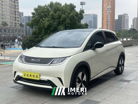 2023 BYD Dolphin 420km Fashion Edition - car from China