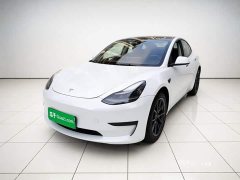 Tesla Model 3 Rear-Wheel Drive - photo 1