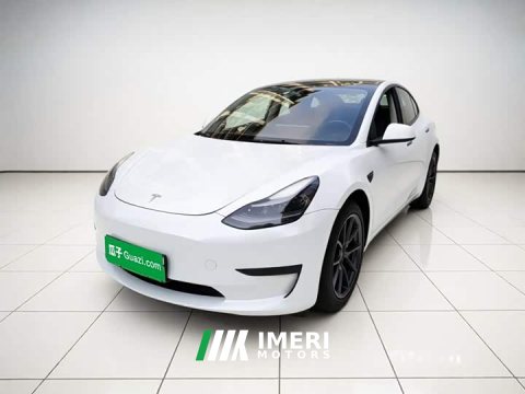 2022 Tesla Model 3 Rear-Wheel Drive - ავტომობილი ჩინეთიდან