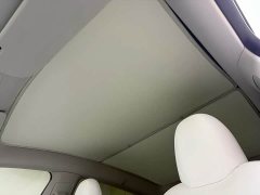 Tesla Model Y Rear-Wheel Drive - ფოტო 12