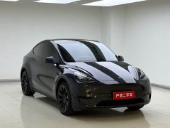 Tesla Model Y Rear-Wheel Drive - ფოტო 3