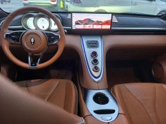 Ora Lightning Cat 555km Luxury Edition - ფოტო 6
