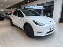 Tesla Model Y Facelift Rear-Wheel Drive - ფოტო 3