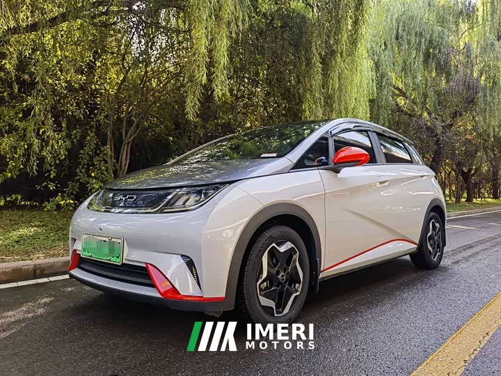 BYD Dolphin 405km Fashion Edition - ავტომობილი ჩინეთიდან