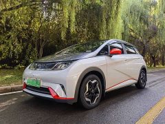 BYD Dolphin 405km Fashion Edition - ფოტო 1