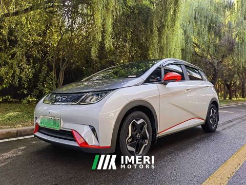 2022 BYD Dolphin 405km Fashion Edition - ავტომობილი ჩინეთიდან