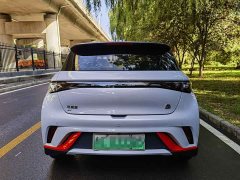 BYD Dolphin 405km Fashion Edition - ფოტო 5
