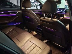 BMW 5 Series 530Li Luxury Edition Luxury Edition - ფოტო 10