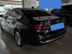 BMW 5 Series 530Li Luxury Edition Luxury Edition - ფოტო 13