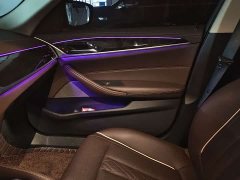 BMW 5 Series 530Li Luxury Edition Luxury Edition - ფოტო 7