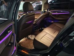 BMW 5 Series 530Li Luxury Edition Luxury Edition - ფოტო 8